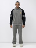 Купить Олимпийка мужская демисезонная на флисе УЦЕНКА серого цвета 0893Sr
