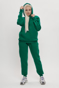 Купить Трикотажный спортивный костюм женский с начесом темно-зеленого цвета 1084TZ