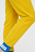 Купить Спортивные брюки женские желтого цвета 1307J, фото 16