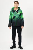 Купить Куртка демисезонная для мальчика зеленого цвета 168Z