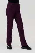 Купить Брюки женские MTFORCE  баклажанового цвета 1851Bk, фото 6