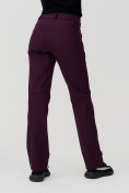 Купить Брюки женские MTFORCE  баклажанового цвета 1851Bk, фото 7