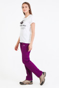 Купить Брюки женские из ткани softshell фиолетового цвета 1926F