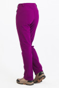 Купить Брюки женские из ткани softshell фиолетового цвета 1926F, фото 6