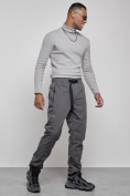 Купить Брюки утепленный мужской зимние спортивные серого цвета 21133Sr, фото 3