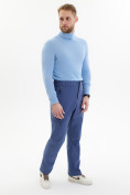 Купить Брюки утепленный мужской зимние спортивные синего цвета 21137S, фото 3