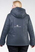 Купить Куртка горнолыжная женская большого размера серого цвета 21982Sr, фото 3