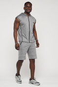 Купить Спортивный костюм летний мужской светло-серого цвета 22610SS, фото 2