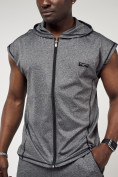 Купить Спортивный костюм летний мужской серого цвета 22610Sr, фото 14