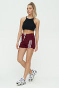 Купить Спортивные шорты женские бордового цвета 3006Bo, фото 4