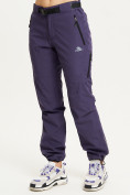 Купить Спортивные брюки Valianly женские темно-фиолетового цвета 33230TF, фото 2