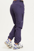 Купить Спортивные брюки Valianly женские темно-фиолетового цвета 33230TF, фото 5