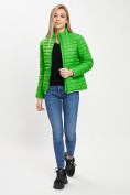 Купить Стеганная куртка зеленого цвета 33310Z