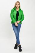 Купить Стеганная куртка зеленого цвета 33315Z, фото 4