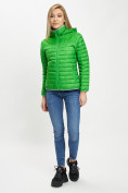 Купить Стеганная куртка зеленого цвета 33315Z, фото 5