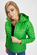 Купить Стеганная куртка зеленого цвета 33315Z, фото 2