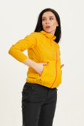 Купить Ветровка спортивная Valianly женская желтого цвета 33417J, фото 8