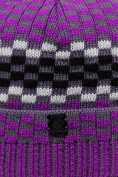 Купить Шапка еврозима патрик фиолетового цвета 6013F, фото 3