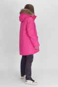 Купить Парка женская с мехом зимняя большого размера розового цвета 552021R, фото 3