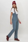 Купить Полукомбинезон брюки горнолыжные женские  66179Sr, фото 2