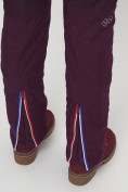 Купить Полукомбинезон брюки горнолыжные женские  66179Tb, фото 11