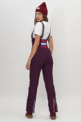 Купить Полукомбинезон брюки горнолыжные женские  66179Tb, фото 13