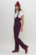 Купить Полукомбинезон брюки горнолыжные женские  66179Tb, фото 2