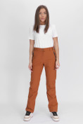 Купить Утепленные спортивные брюки женские коричневого цвета 88148K, фото 15