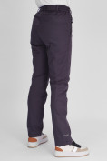 Купить Утепленные спортивные брюки женские темно-серого цвета 88148TC, фото 11