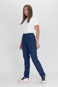 Купить Утепленные спортивные брюки женские темно-синего цвета 88148TS, фото 2