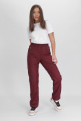 Купить Утепленные спортивные брюки женские бордового цвета 88149Bo, фото 18