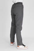 Купить Утепленные спортивные брюки женские серого цвета 88149Sr, фото 11