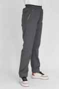 Купить Утепленные спортивные брюки женские серого цвета 88149Sr, фото 12