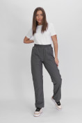 Купить Утепленные спортивные брюки женские серого цвета 88149Sr, фото 16