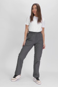 Купить Утепленные спортивные брюки женские серого цвета 88149Sr, фото 17