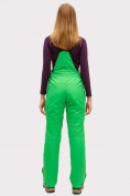 Купить Брюки горнолыжные женские зеленого цвета 905Z, фото 6