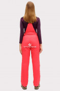 Купить Брюки горнолыжные женские малинового цвета 905M, фото 4