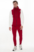 Купить Спортивный костюм трикотажный красного цвета 9154Kr, фото 2