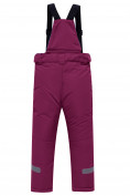 Купить Брюки горнолыжные подростковые для девочки темно-фиолетового цвета 9252TF, фото 2