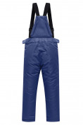 Купить Брюки горнолыжные подростковые для мальчика темно-синего цвета 9253TS, фото 2