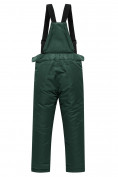 Купить Брюки горнолыжные подростковые для мальчика темно-зеленого цвета 9253TZ, фото 2