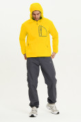 Купить Ветровка спортивная Valianly мужская желтого цвета 93419J, фото 12