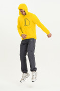 Купить Ветровка спортивная Valianly мужская желтого цвета 93419J, фото 2