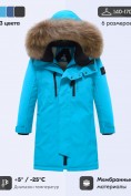 Купить Парка зимняя подростковая для мальчика с капюшоном и мехом голубого цвета 9537Gl, фото 3
