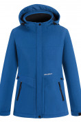 Купить Ветровка спортивная женская с капюшоном softshell синего цвета 9566S, фото 18