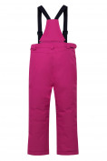 Купить Горнолыжный костюм подростковый для девочки фиолетового цвета 8916F, фото 5