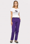 Купить Брюки женские из ткани softshell фиолетового цвета 1851F
