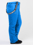 Купить Брюки горнолыжные женские большого размера голубого цвета 1878Gl, фото 7