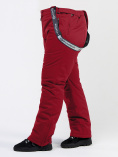 Купить Брюки горнолыжные женские большого размера бордового цвета 1878Bo, фото 8
