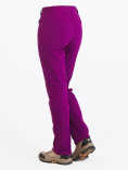 Купить Брюки женские из ткани softshell фиолетового цвета 1926F, фото 6